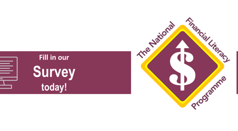 National Financial Literacy Survey