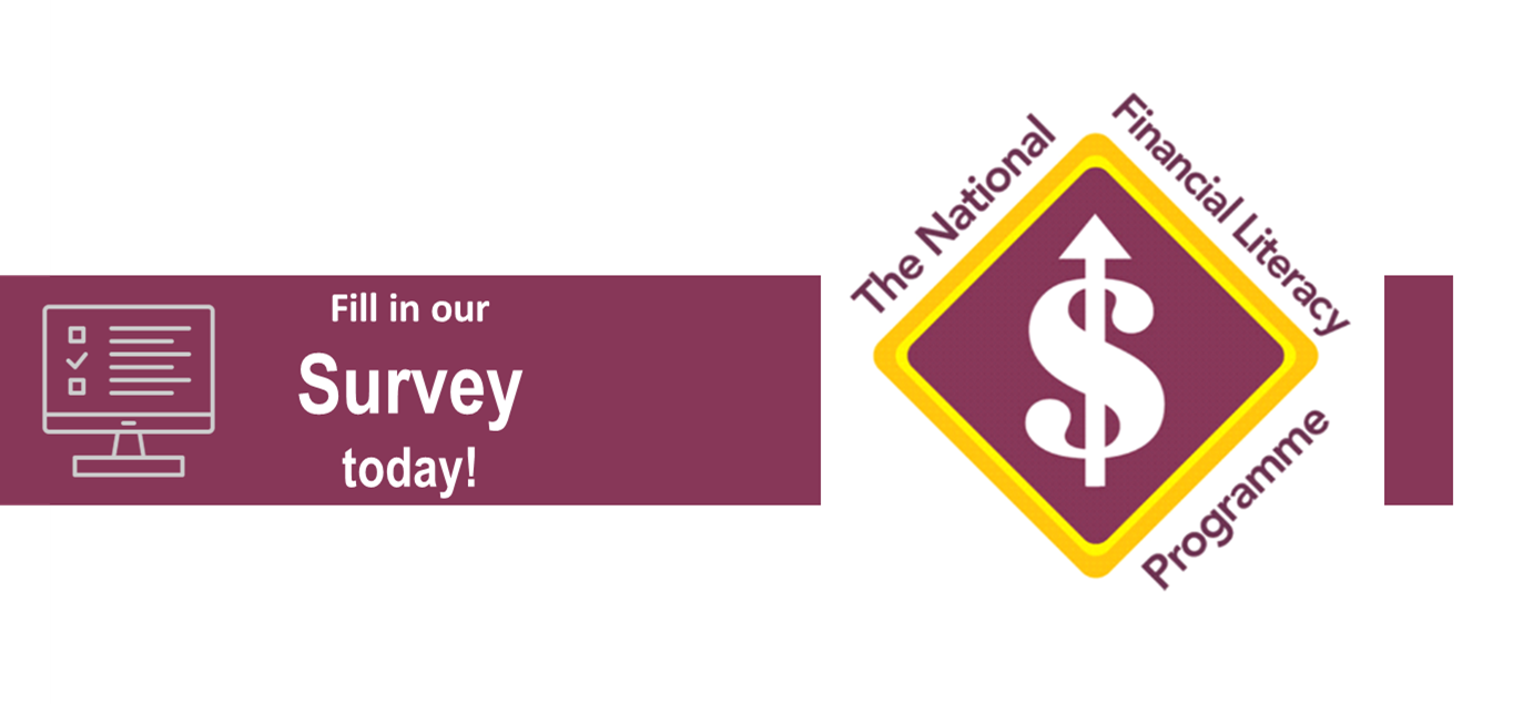 National Financial Literacy Survey
